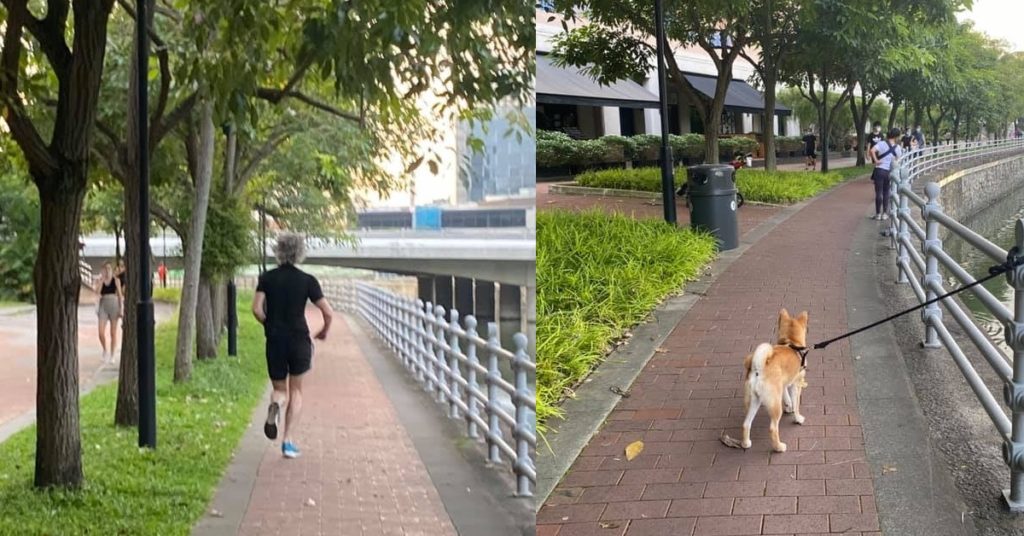 where can i walk my dog in singapore