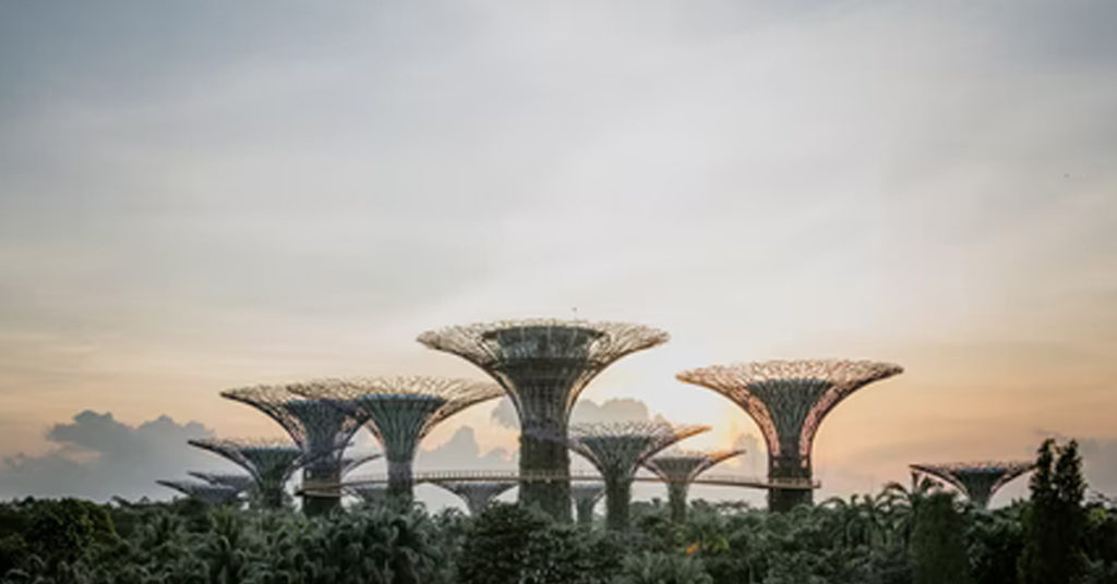 singapore 7