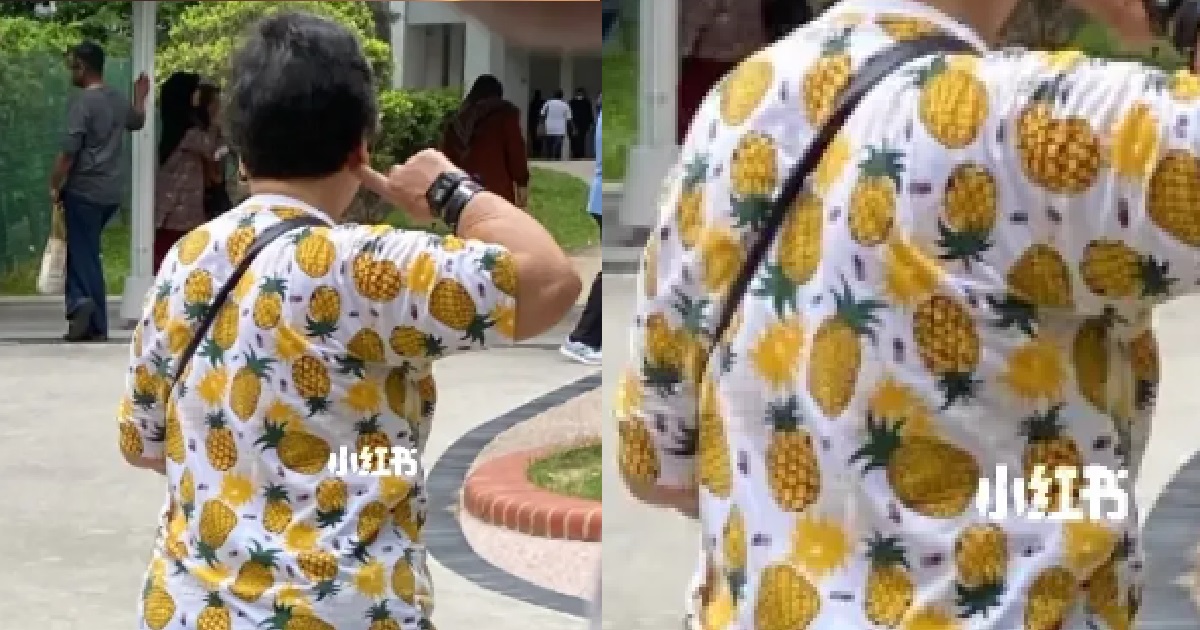 Voters wearing pineapple shirts and pineapple bags turned away from polling  stations - Singapore News