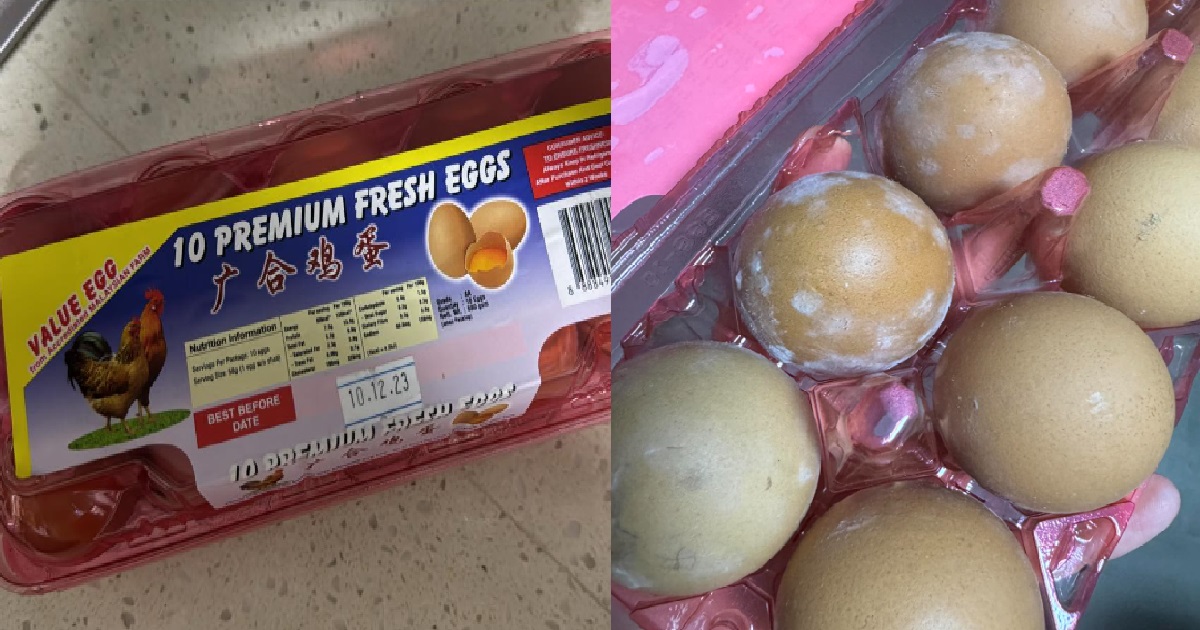 WOMAN BOUGHT EGGS FROM TOA PAYOH FAIRPRICE WENT HOME FOUND THEM MOULDY