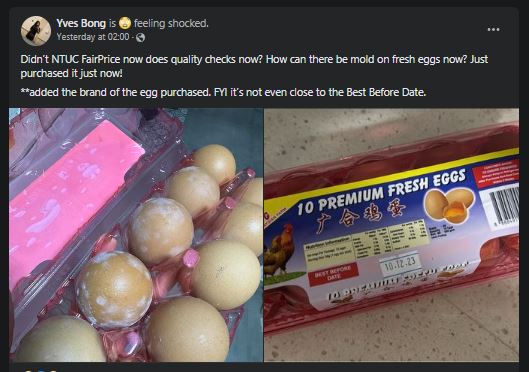 Woman Bought Eggs From Toa Payoh Fairprice Went Home Found Them Mouldy