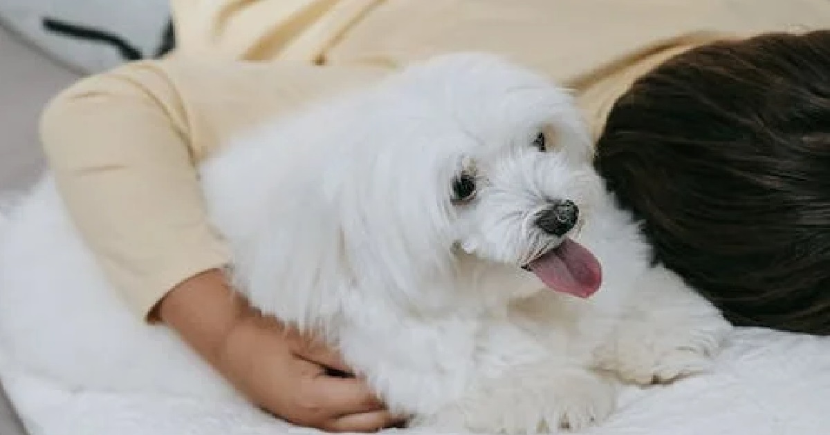 S'PORE EMPLOYER REFUSE TO GIVE MAID A BED, MAKE HER SLEEP WITH THEIR