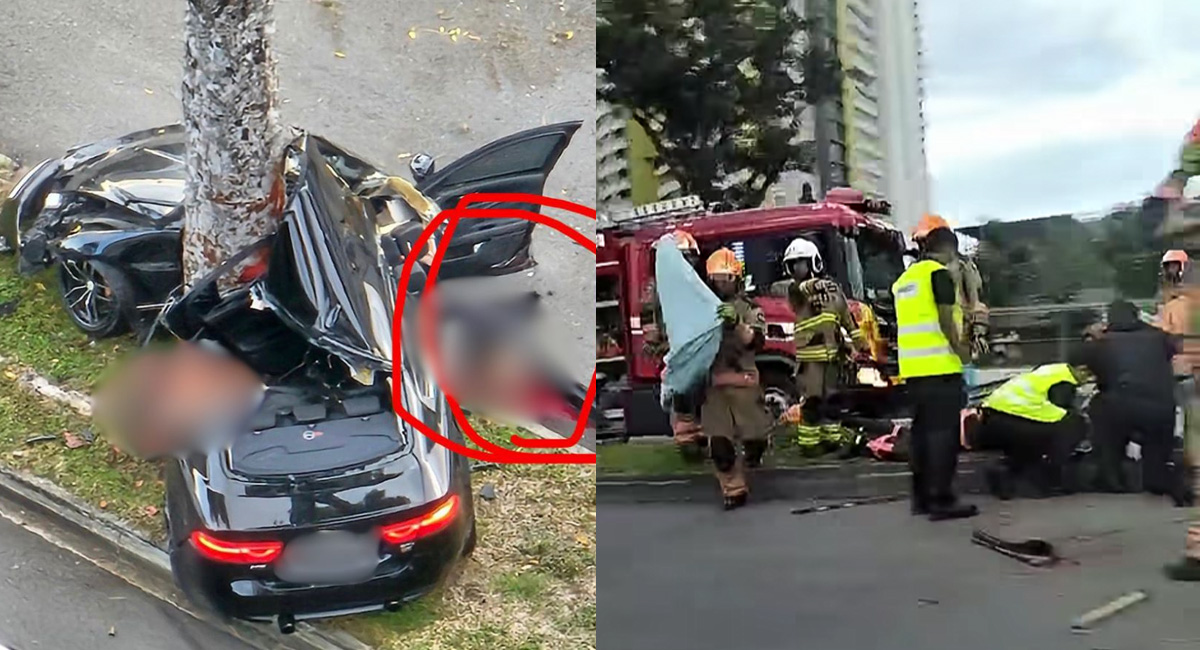Man, 56, Dies After Car Crashes Into Tree Along Clementi Avenue 2