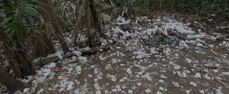Woodlands Condom Plantation