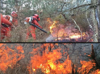 Forest Fire In Kunming