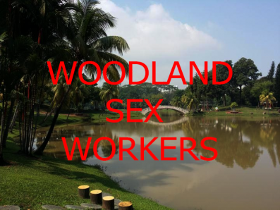 Transgender Sex Sellers At Woodland Town Park