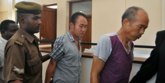PRC kill 226 Elephants, 30 years jail