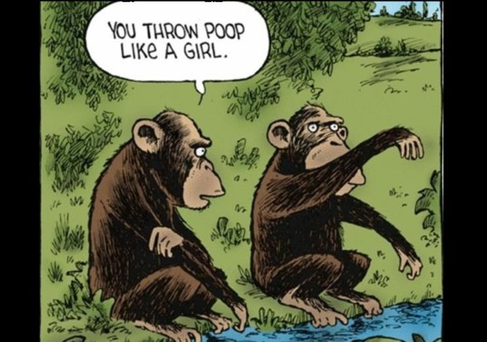 Woman Feed Monkeys At MacRitchie, Monkey Throw Feces At Her