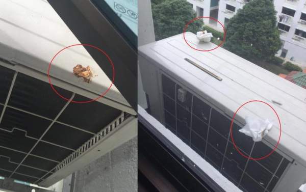 Marsiling HDB NEIGHBOUR THROWS SHIT OUT OF WINDOW and kena residents downstairs