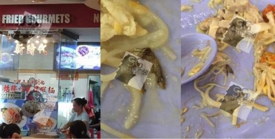 Anyone Wanna Eat Bedok North Hokkien Mee with COCKROACH