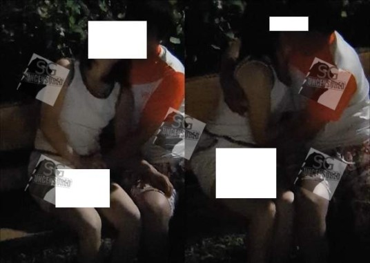 PRC COUPLE PERFOM SEX ACTS – TAMPINES PARK