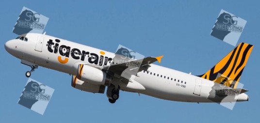Malaysian woman punch tigerair stewardess