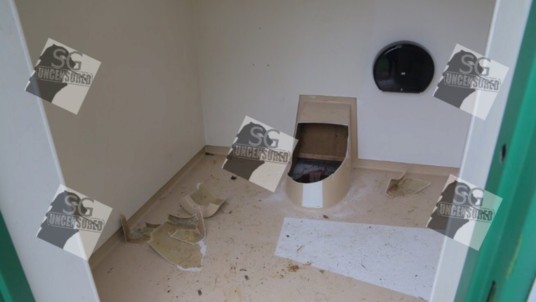 Man help friend get his lost phone but got stuck down toilet tank