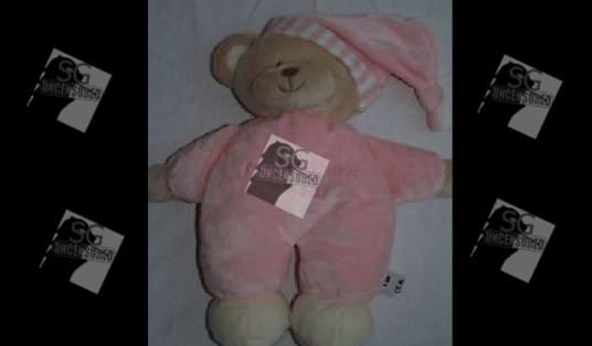 Singapore Men Went 6 Countries To Find a Teddy Bear That Belong To His Ex Deceased girlfriend