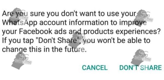 Check Your Phone, Whatsapp is sharing your conversation!