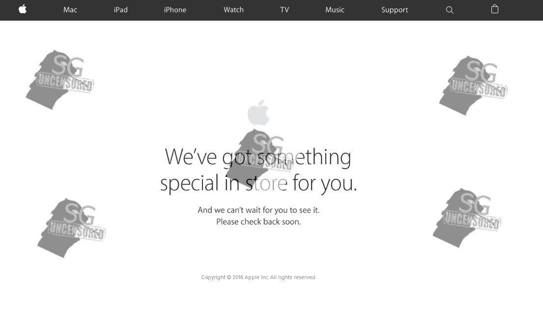 Apple Ordering Page Down? Due To Over Demand?
