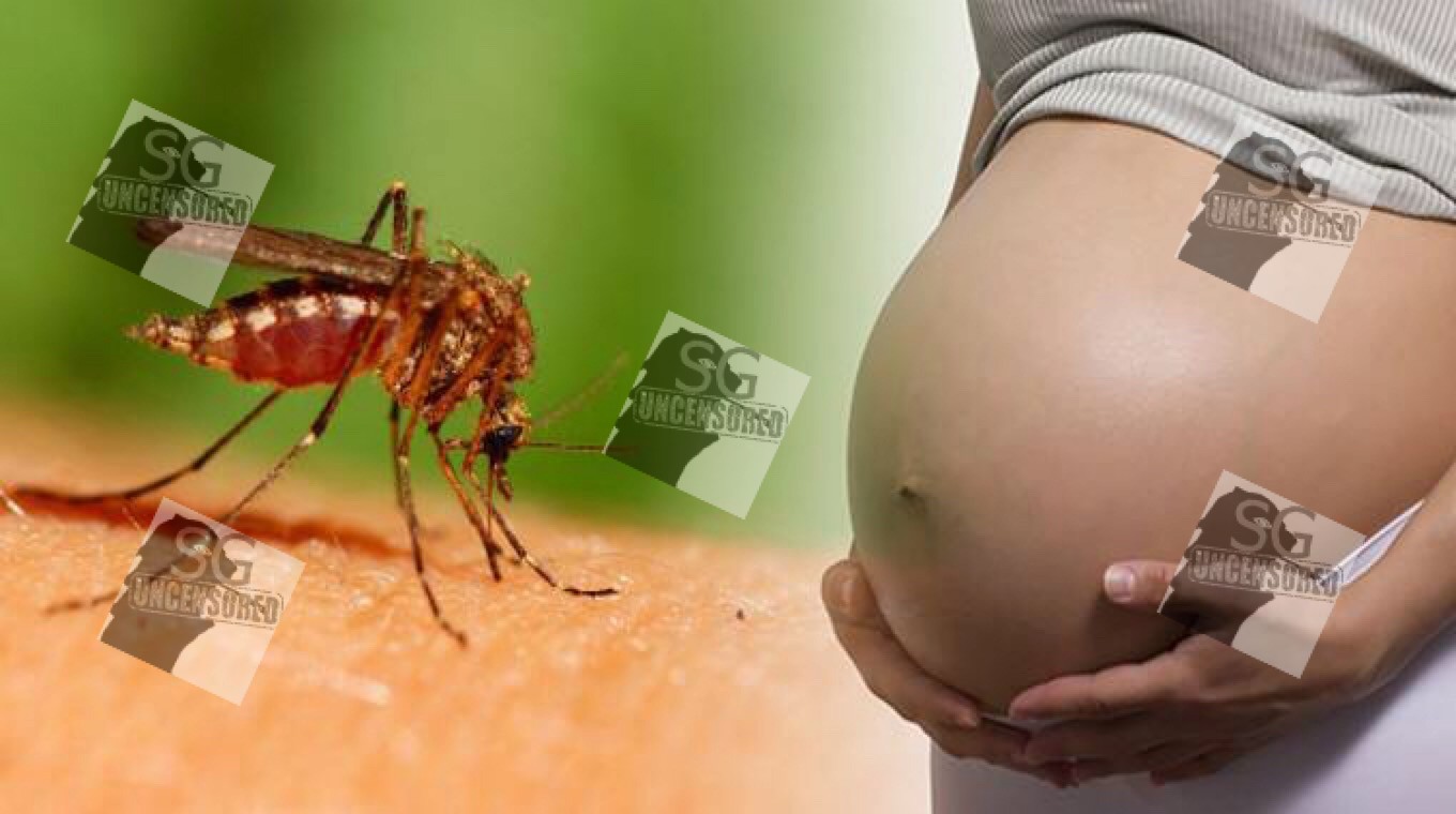 Singapore first pregnant woman infected with zika virus among 115 cases