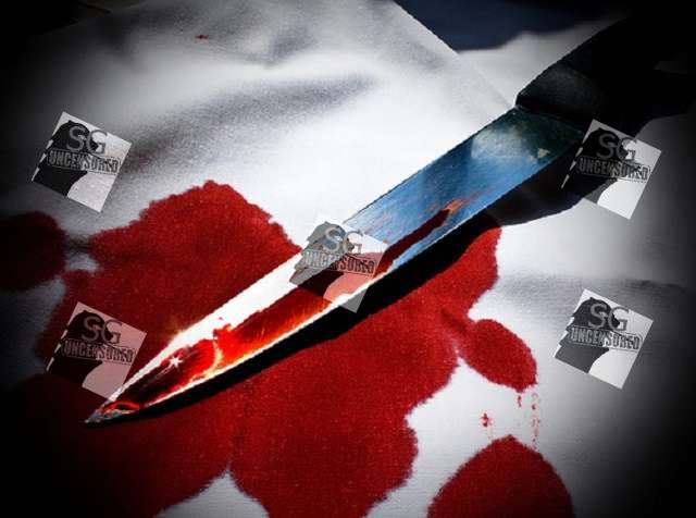 Unemployed man stabs himself 8 times then stabs his tenant in the neck
