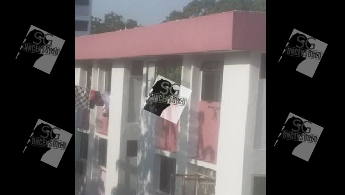 Clementi Ave 2 Blk 352 – Jumanji Jungle Coming Out Of HDB Kitchen