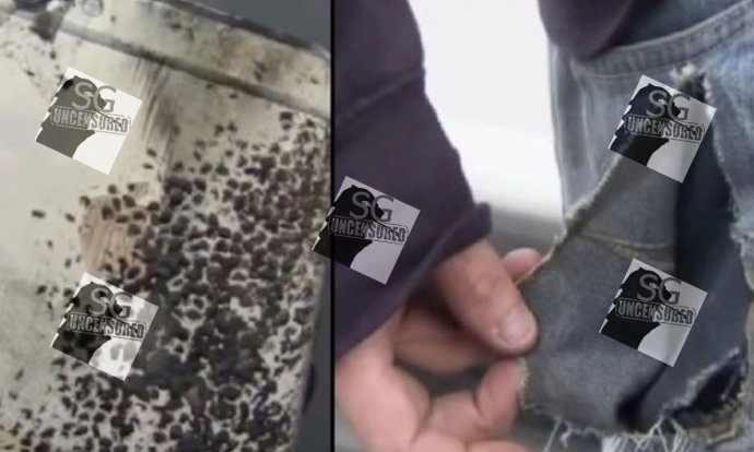 Iphone Explode, Student Caught On Fire