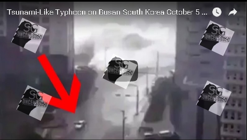 Tsunami In Busan South Korea Yesterday Video