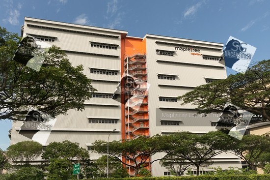 Amazon take up 100,000 square feet at mapletree logistics hub toh guan