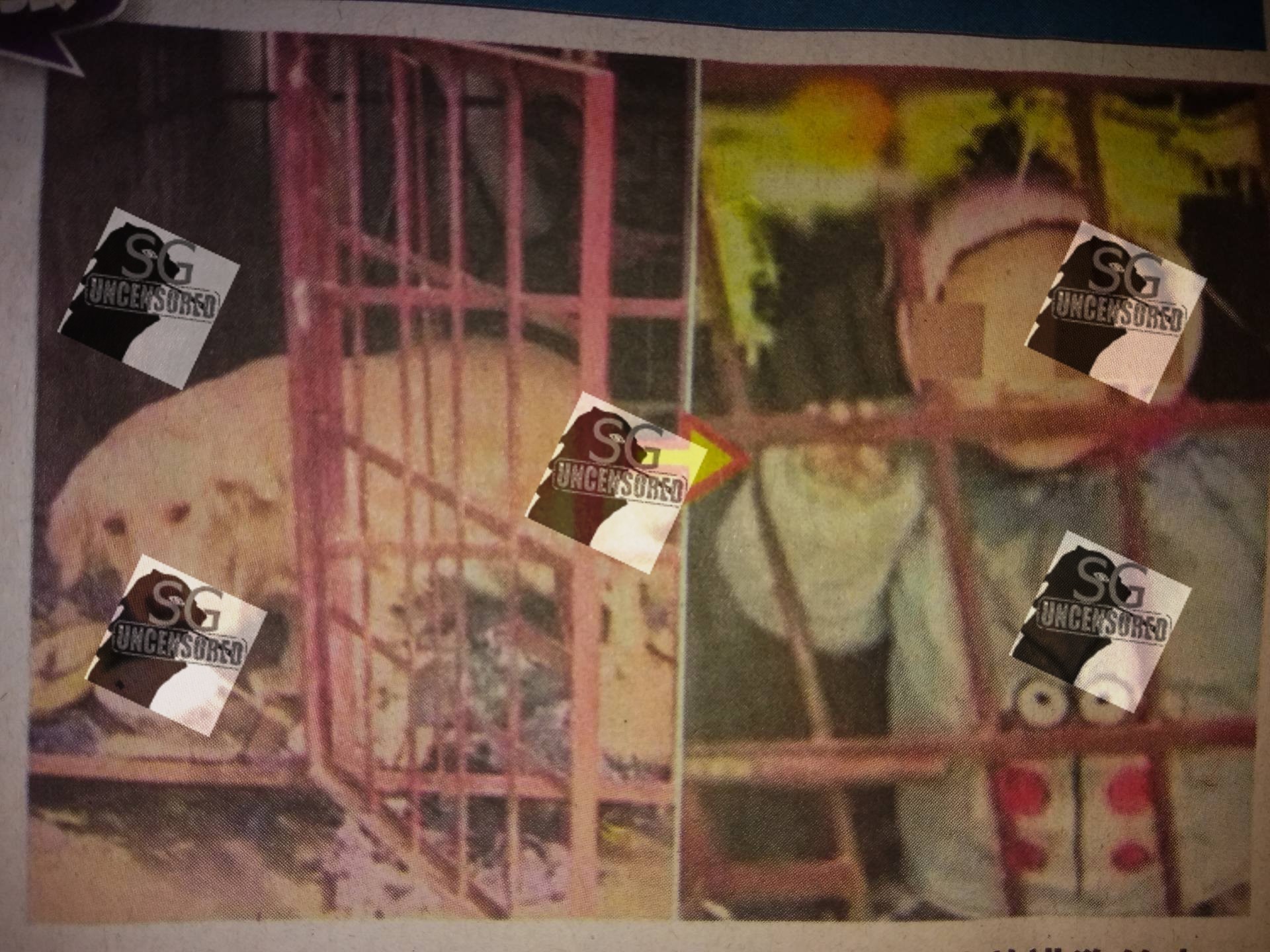 PRC Mother Lock 3 Year Old In Dog Cage Because “NOISY CANNOT PLAY MAHJONG”