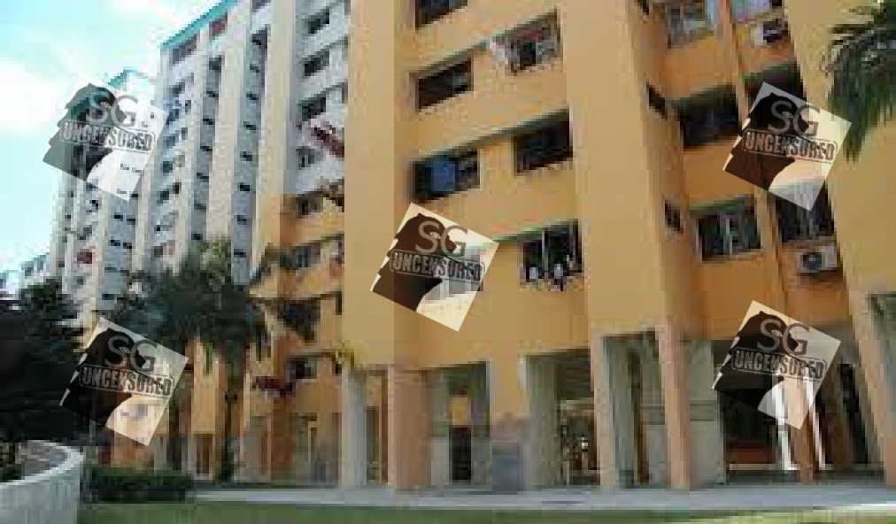 Vietnam Man One Punch To Head Murder At Marsiling