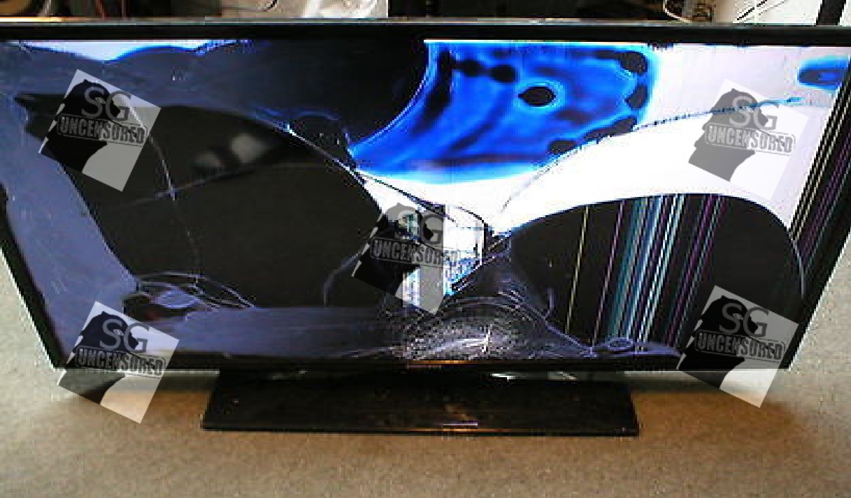 MY SON DESTROYED THE TV BECAUSE I TOLD HIM PIKACHU IS GAY!