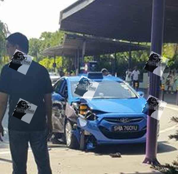 Taxi crash at Gardens By The Bay after losing control