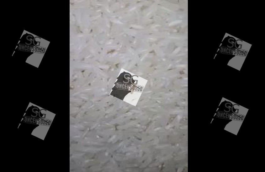 Worms were found in jasmine rice bought from Serangoon Central NTUC(video)