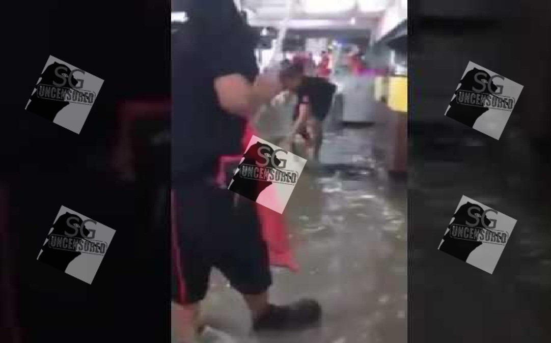Big Snake Appear After Heavy Rain At Johor Eatery