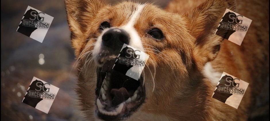 My neighbour dog bark non stop. I want to bak ku teh the dog!!