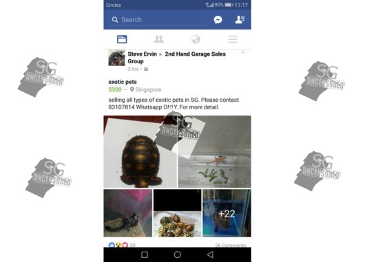 SG Guy Selling Illegal Pets On 2nd Hand Garage FB page