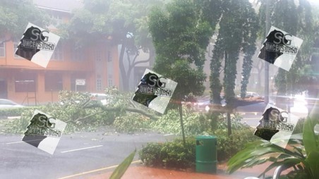 Tree Falls At Liang Seah Street. Nowadays Trees Falling Is A Trend?