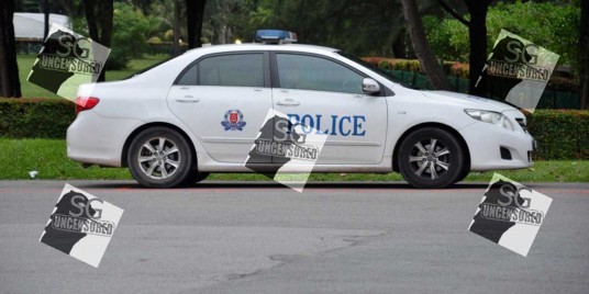 SG Girls Claims Singapore Police Shame Molest Victim