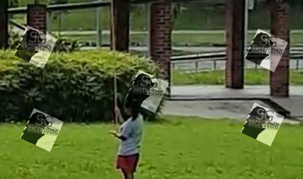 Clementi Employer Punish Maid In Public. “STAND IN SUN HOLDING BAMBOO POLE”(VIDEO)