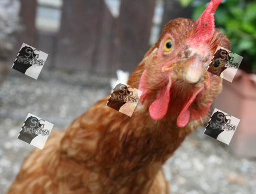 “Noisy Chicken” put to sleep after being complain by Sin Ming Avenue Residents!!