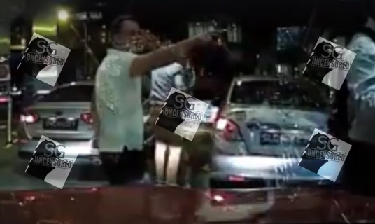 GEYLANG DOG AND CAT MEAT SELLER EXPOSED!!!!! Involving around $80k!!!