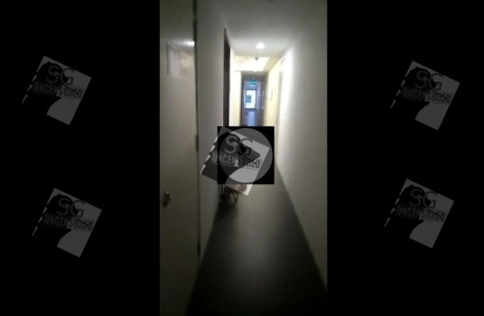 SG MOTHER SCOLD 9 Y.O VULGARITIES SCOLD LIKE DOG AT GEYLANG CONDO (VIDEO)