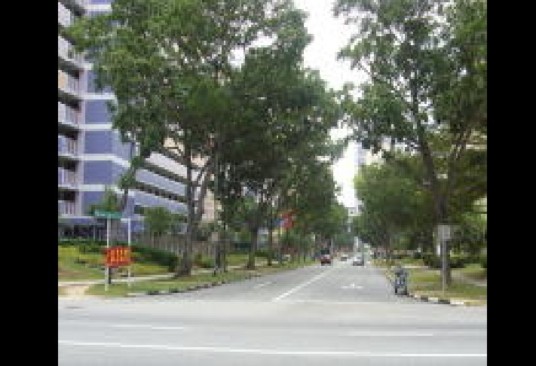 PLEASE SHARE! – Appealing For Witness At Bedok North Reservoir