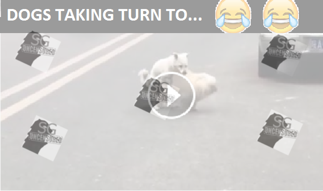 How I Feel About Our Politics Today.