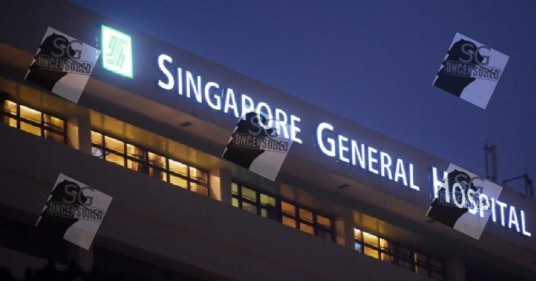 Does Medical procedures bring revenue for public hospitals??