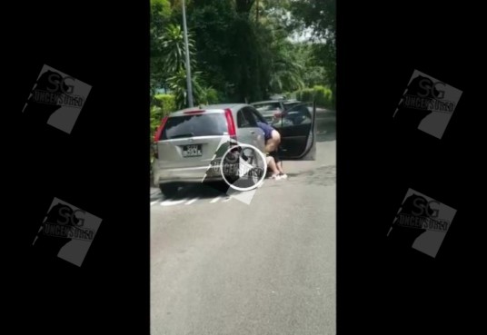 SINGAPORE CAR “S*HITING IN PUBLIC” WIPE A*SS THEN THROW TISSUE ON ROAD(VIDEO)