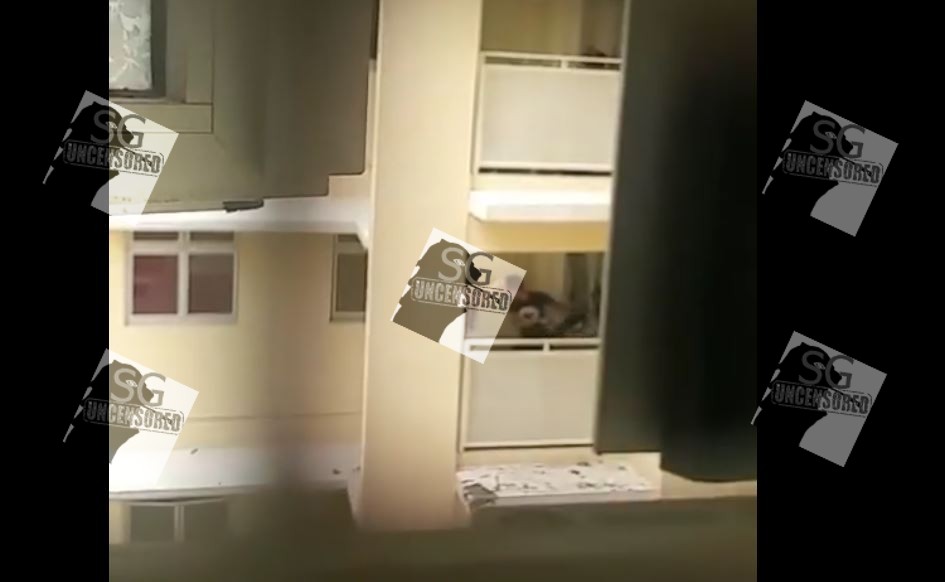 CNB In Action At Blk 263 Yishun! (Video)