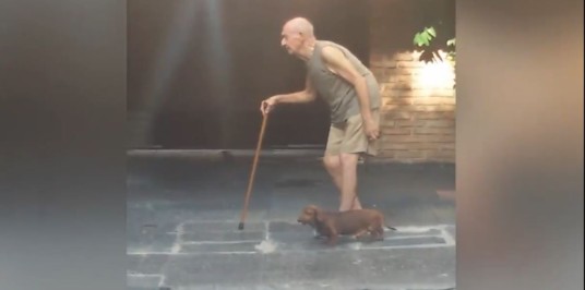 Meaning Of Man’s Best Friend