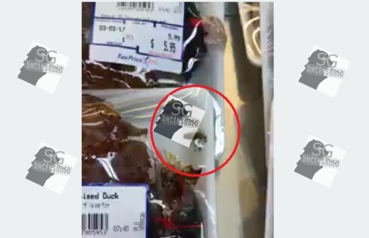 Bugs In Fairprice Cooked Food Section Ang Mo Kio Branch(Video)