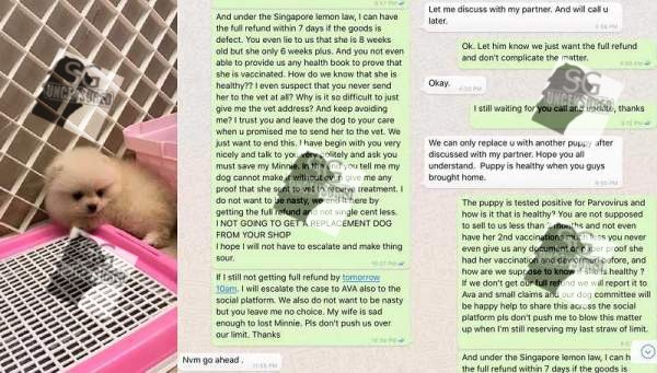 DISHONEST PET SHOP SELL SICK PUPPY AND SAY IT’S HEALTHY. BEWARE!