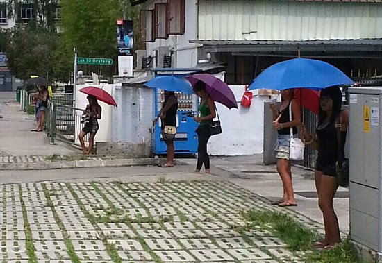 GEYLANG OLD CHICKEN TAUNT ME TO “TAKE” HER