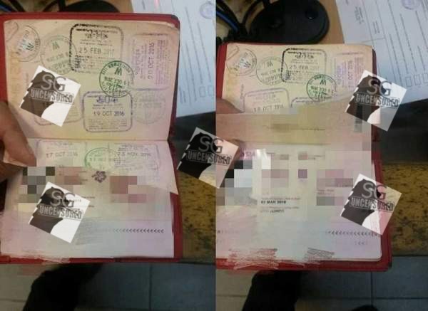 Beware! Malaysia Custom Tear The Pages From A Girl’s Passport
